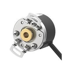 Model Image