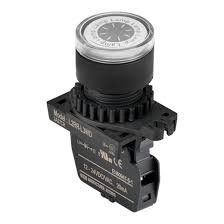 Model Image